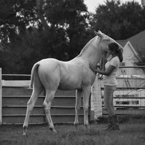 Meet your Posher, Barbara